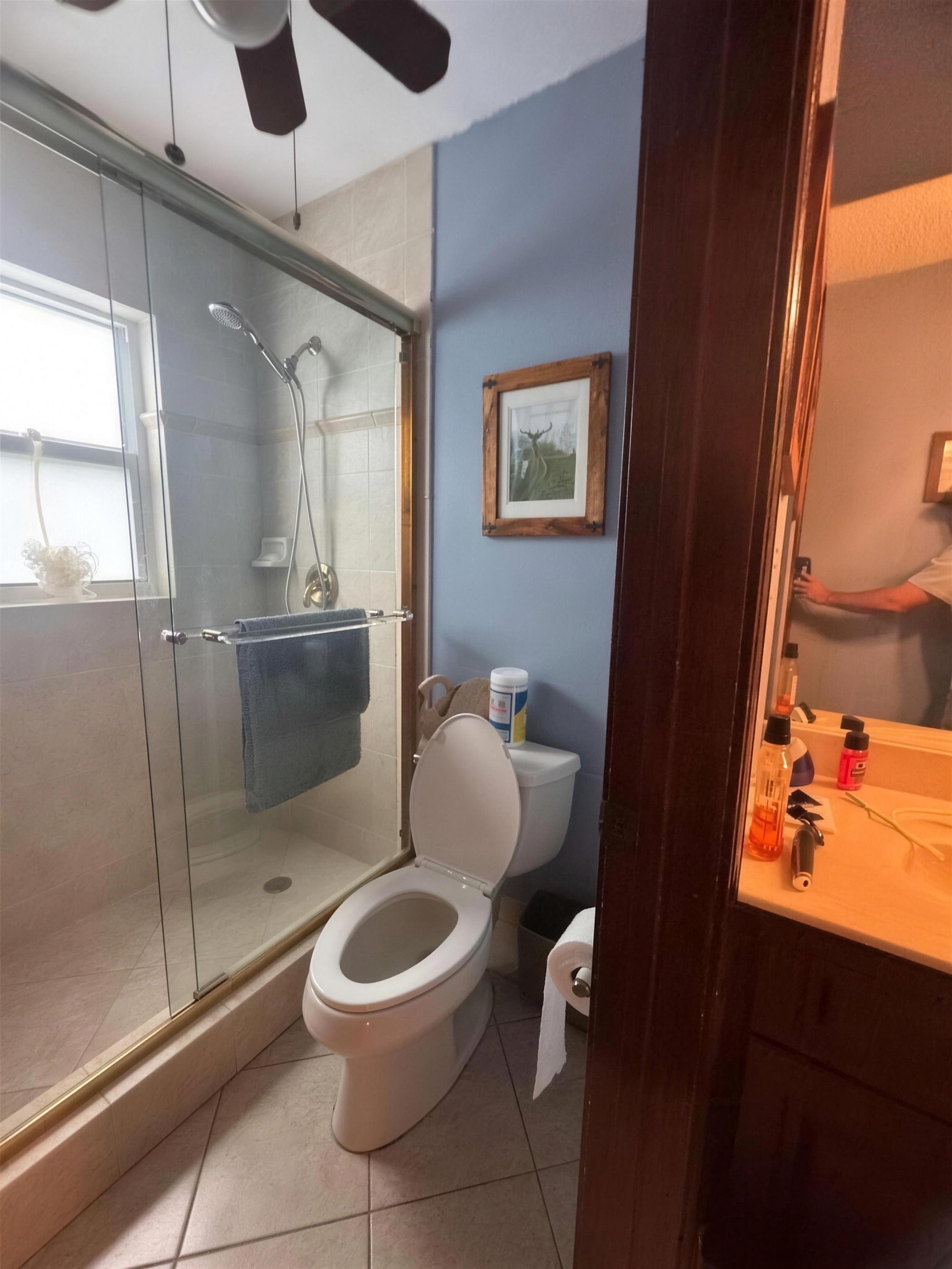 Bath before — dated blue walls and old framed shower